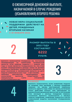 О ежемесячной денежной выплате, назначаемой в случае рождения (усыновления) второго ребенка